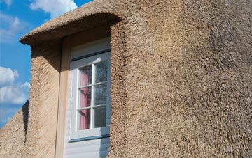 Oreton thatch roof disadvantages